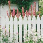 DIY ιδέες για φράχτες κήπου